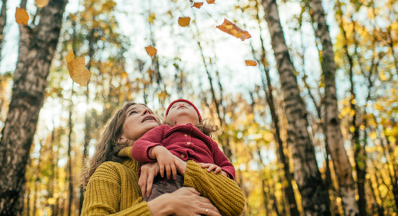 L'automne – saison vata