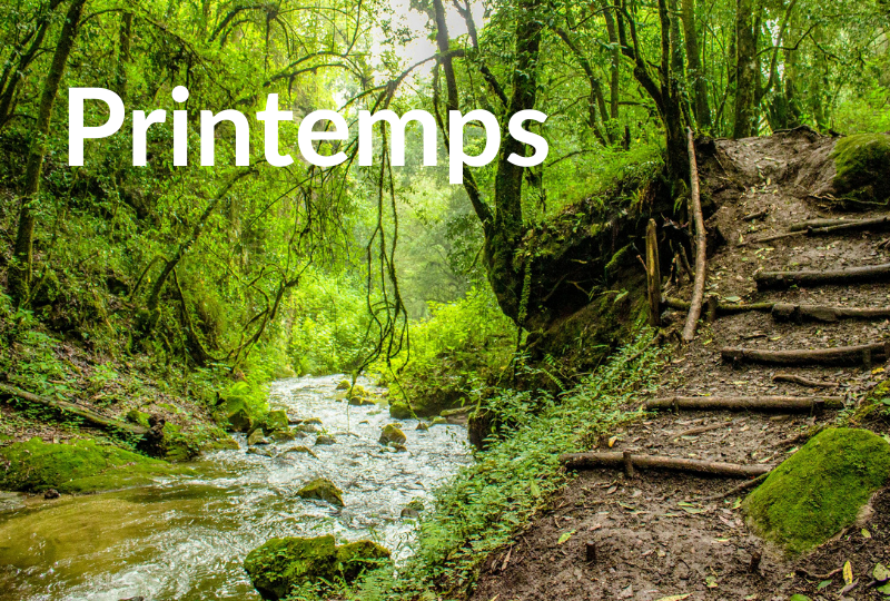 Printemps