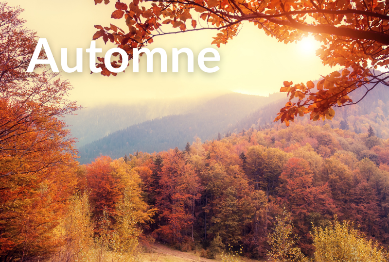 Automne