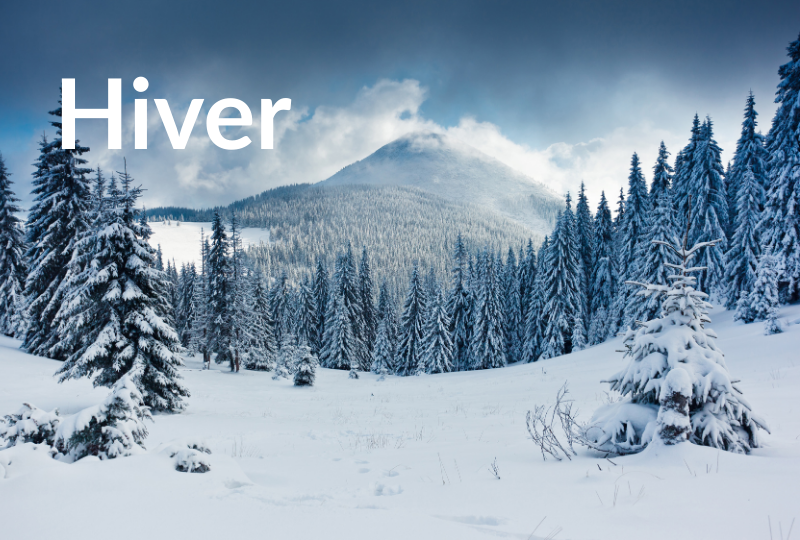 Hiver