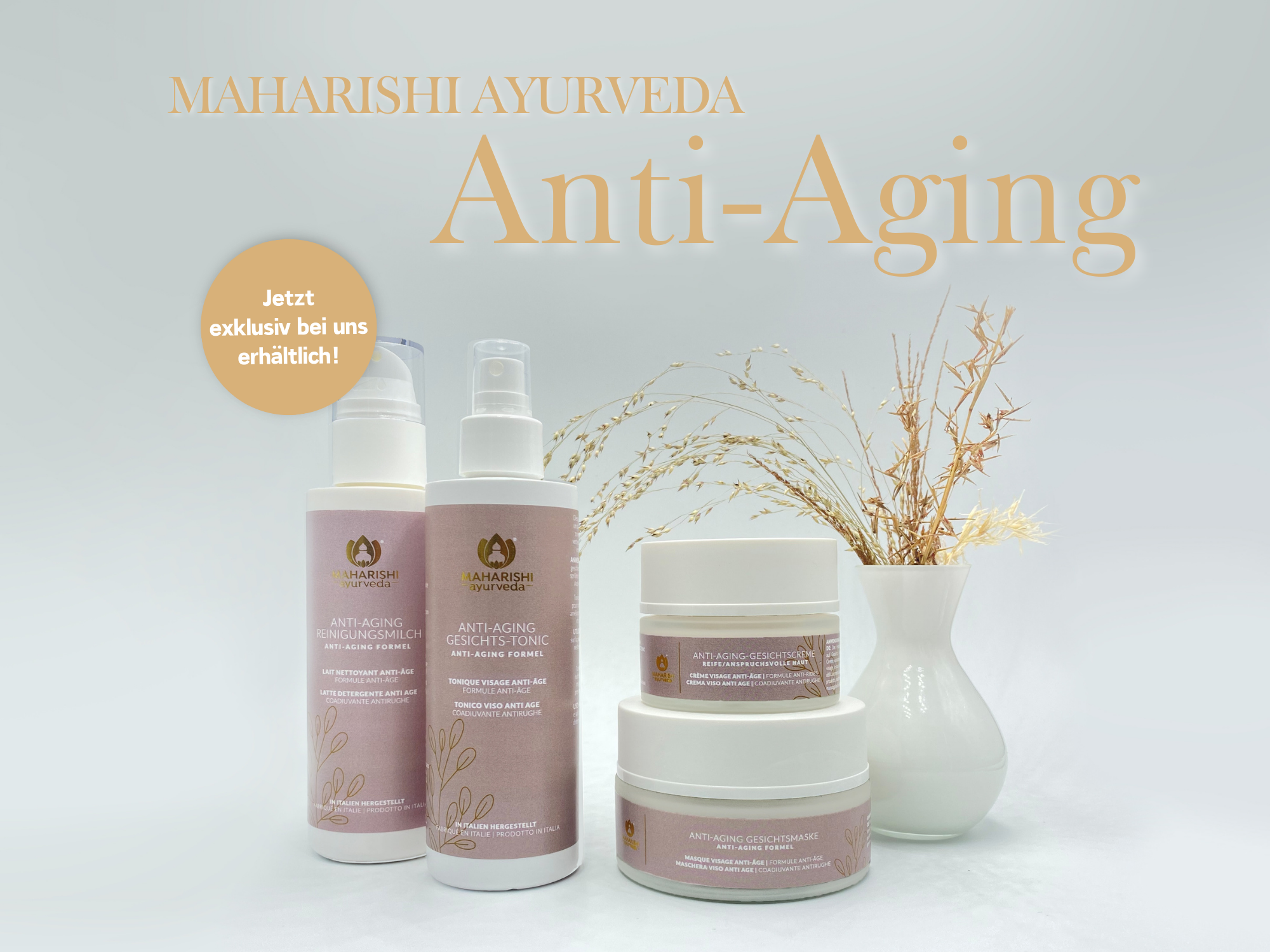 Banner Anti Aging MA Landingpage