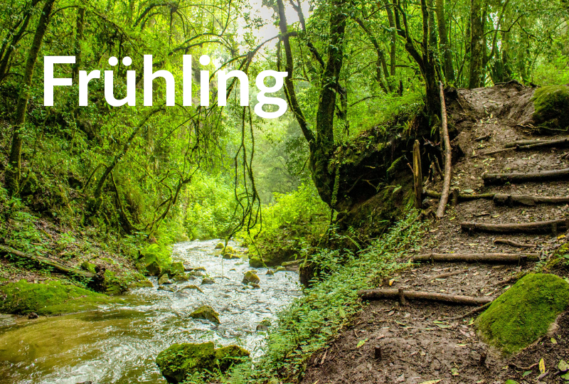 Frühling