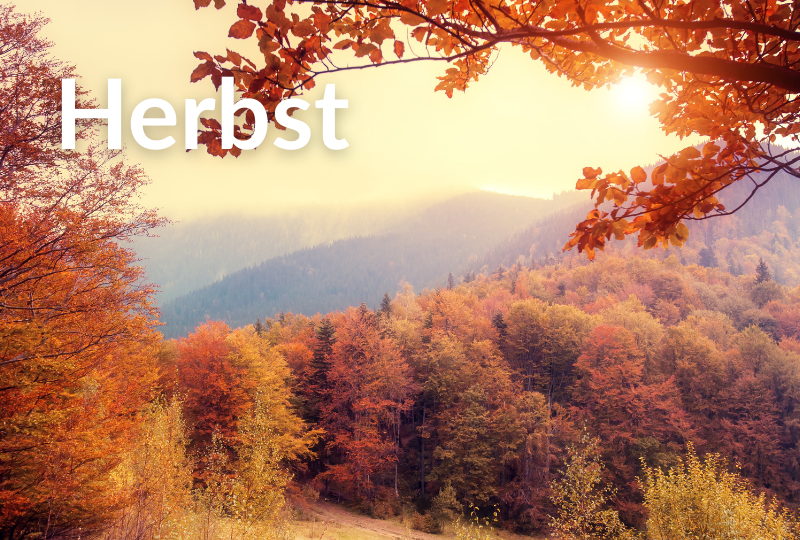 Herbst