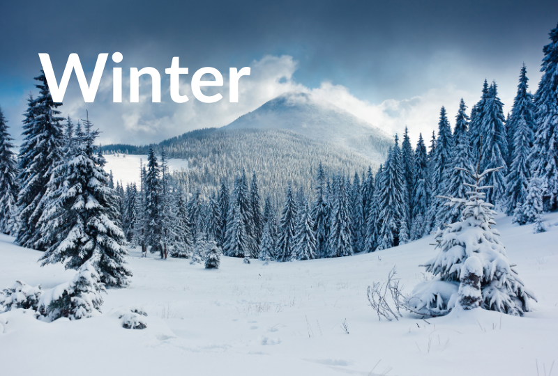 Winter