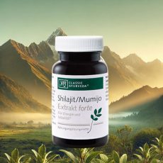 Shilajit Mumijo Extrakt Forte